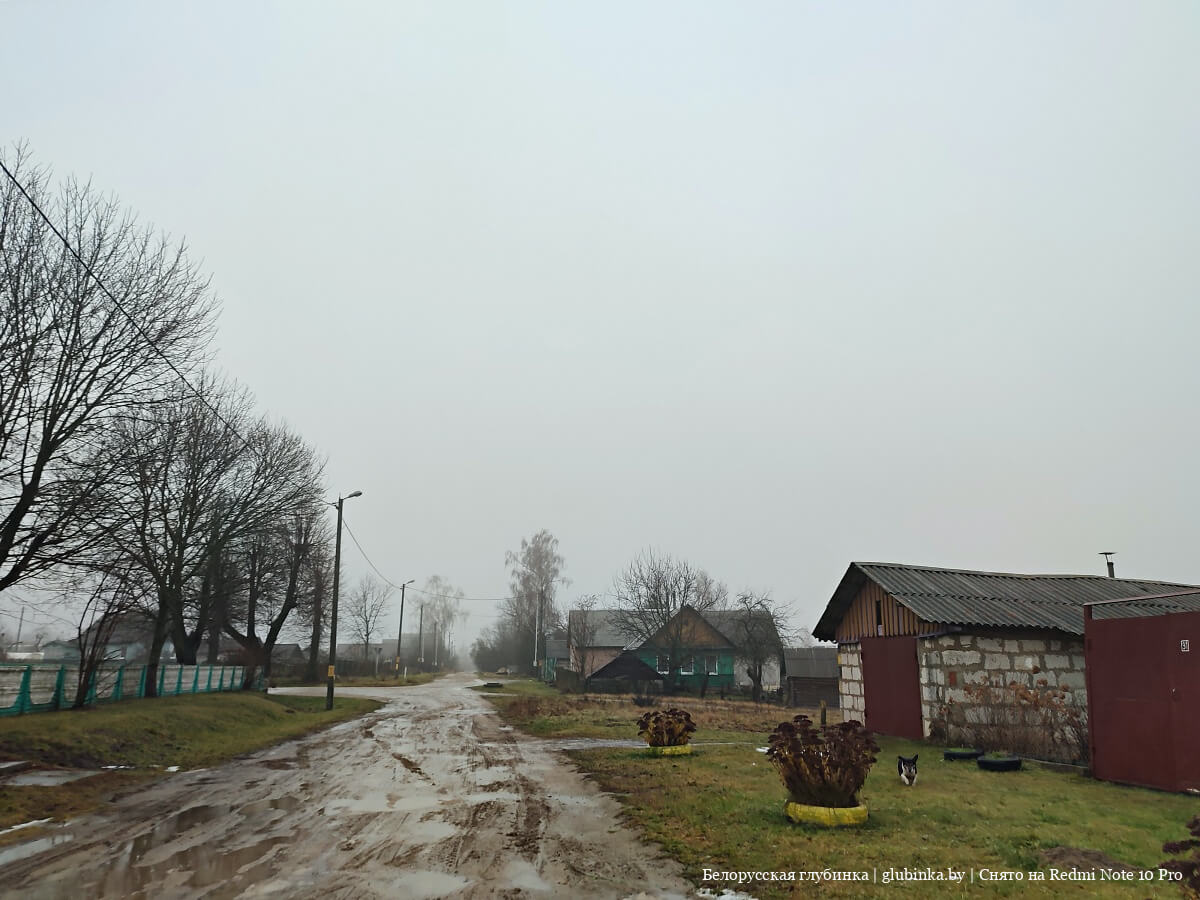 Деревня Каменные Лавы Шкловского района
