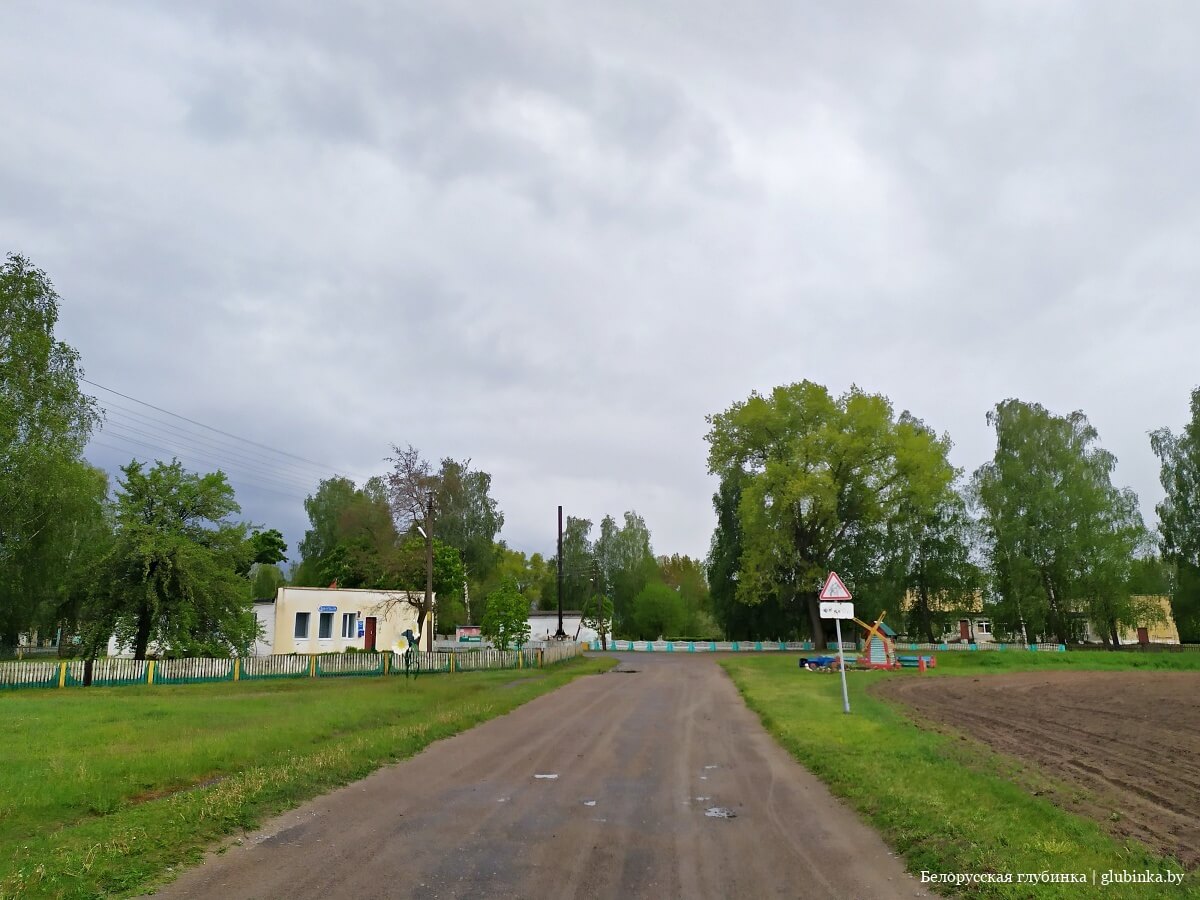 Деревня Николаевка Светлогорского района