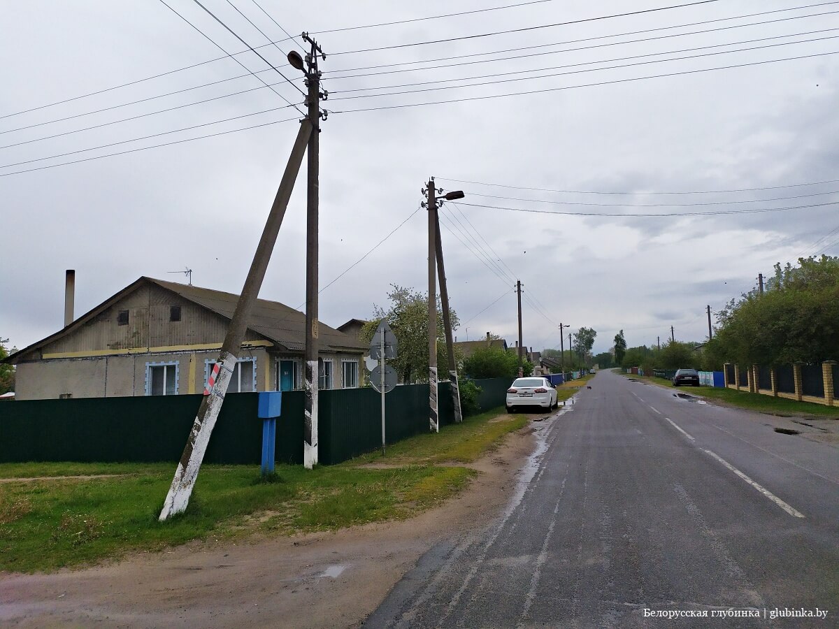 Деревня Николаевка Светлогорского района