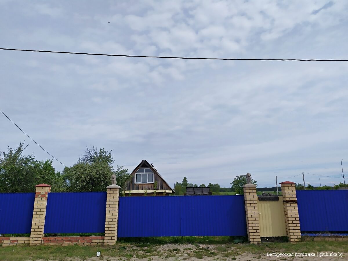 Деревня Голубица Петриковского района