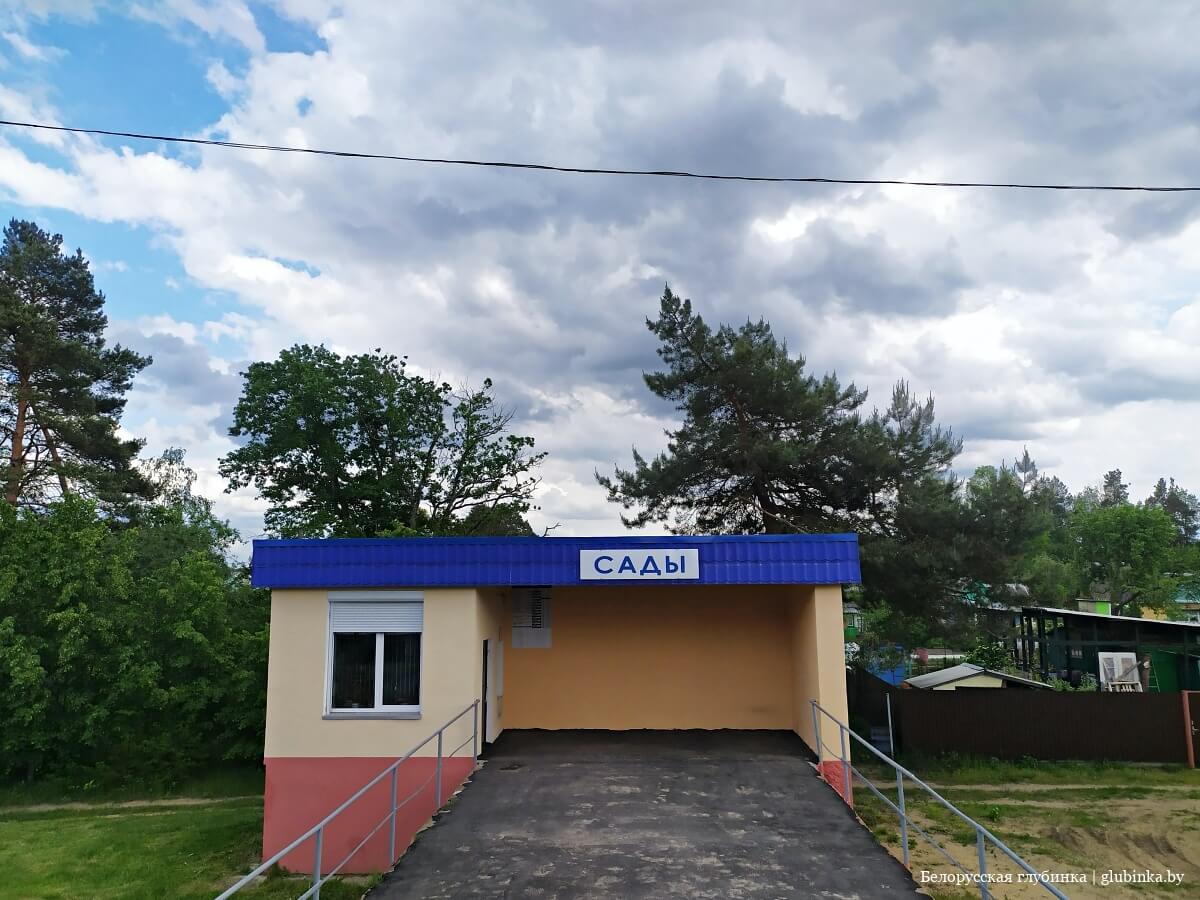 Деревня Прибор Гомельского района
