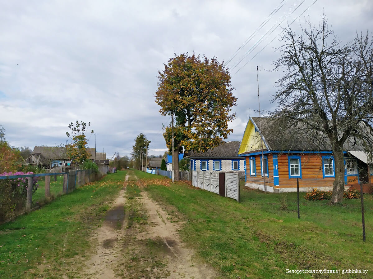 Деревня Гродзянка Осиповичского района