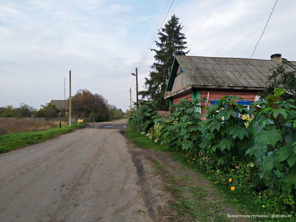 Деревня Поселичи Хойникского района