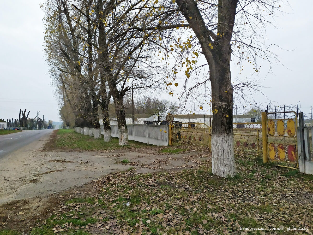Деревня Солоное Жлобинского района