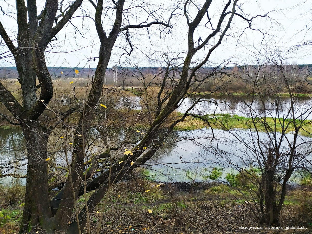 код березино минской области. img 20201111 163219 47. код березино минской области фото. код березино минской области-img 20201111 163219 47. картинка код березино минской области. картинка img 20201111 163219 47. Город Березино находится в центре Беларуси. Центр Березинского района Минской области стоит на реке Березина. От Минска его отделяет около ста километров. Через город проходит автотрасса Минск — Могилев. Когда на этом месте поселились люди — точно не известно, однако река Березина, которая являлась частью водного пути «из варяг в греки» указывает на то, что поселение здесь появилось как перевалочный пункт и торговый центр.