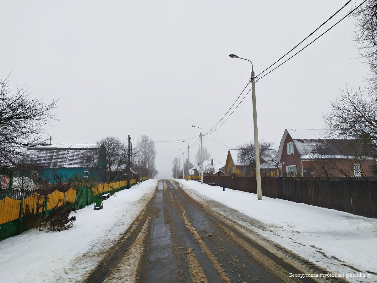 Зао нива шкловский район