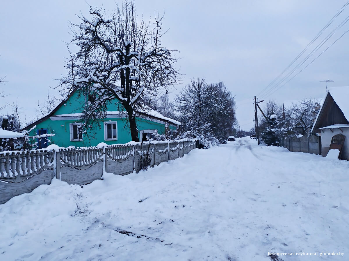 Деревня Василинки Слуцкого района
