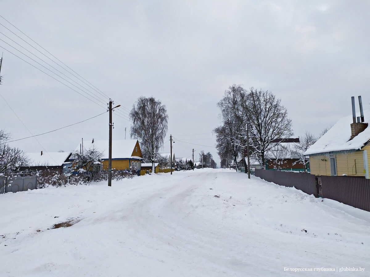 Деревня Василинки Слуцкого района