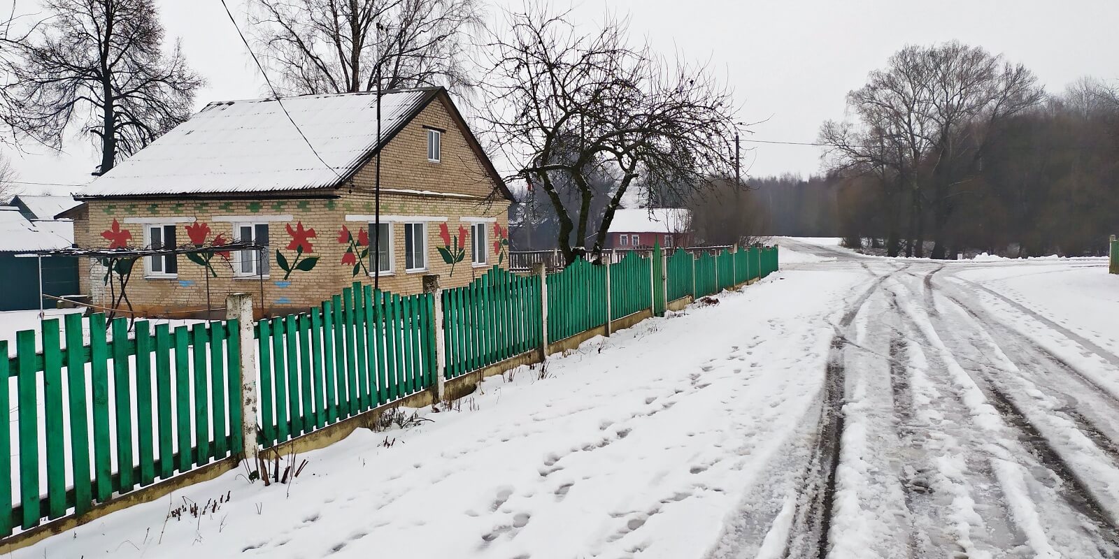 Зао нива шкловский район