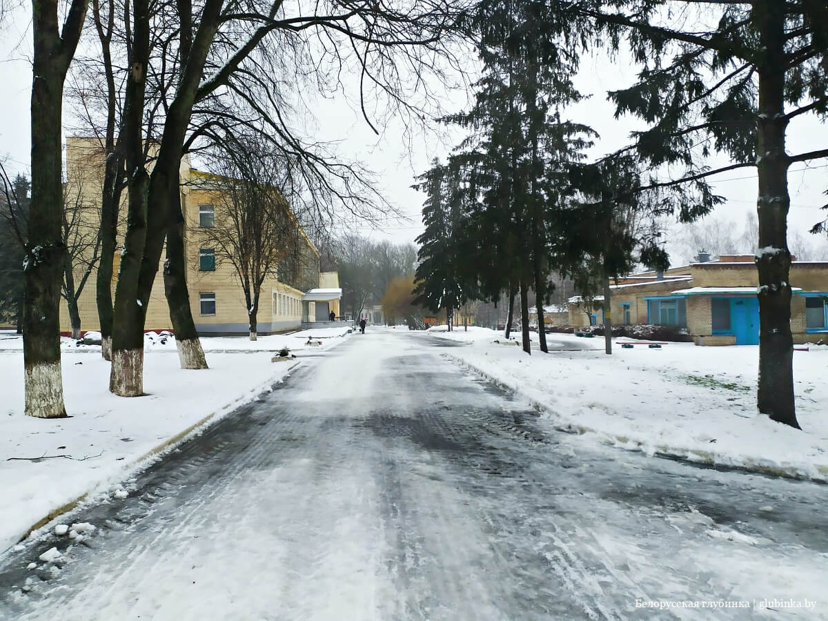 Карьер вирский жлобинского района фото