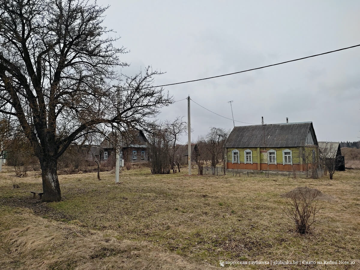 Деревня Николаево Шумилинского района
