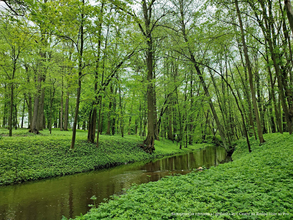 Агрогородок Залесье Сморгонского района