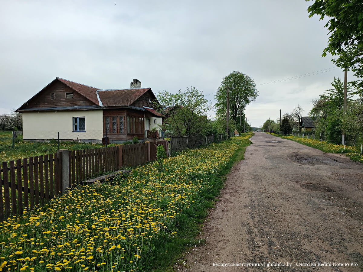 Деревня Крипули Докшицкого района