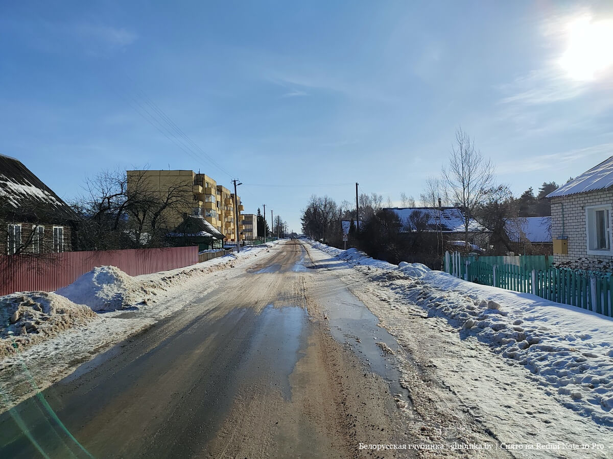 Добромысли лиозненский район фото