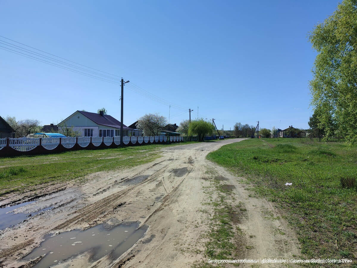Деревня Милевичи Житковичского района